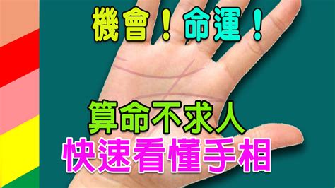 掌心有方格紋|【算命不求人】快速看懂手相